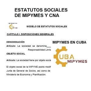 estatutos sociales mipymes Y cna