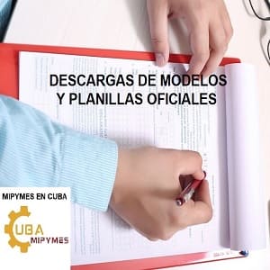 modelos y planillas oficiales mipymes