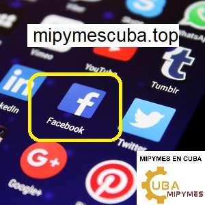 facebook y mipymes