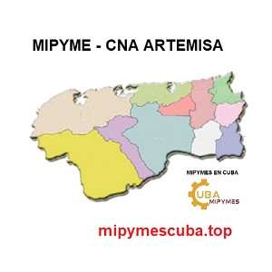 artemisa directorio mipyme cna