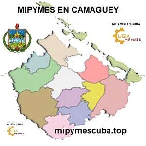 Mipymes y CNA en Camagüey. Listado