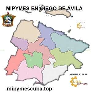 mipymes y cna de ciego de avila