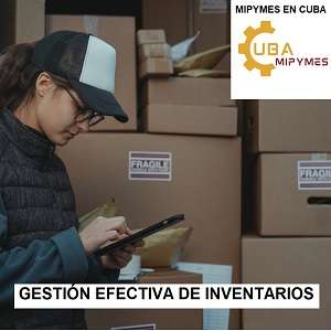 inventarios en niif para pymes