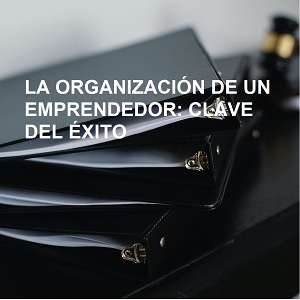 organizacion de un emprendedor