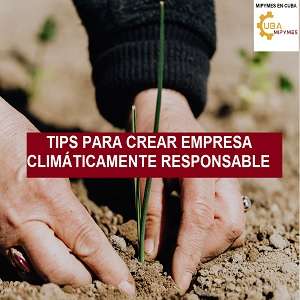 negocios sostenibles ejemplos