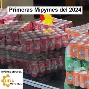 mipymes 2024 cuba