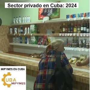 cuba mipymes y el sector privado