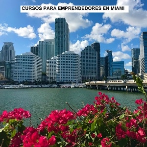 cursos emprendedores miami